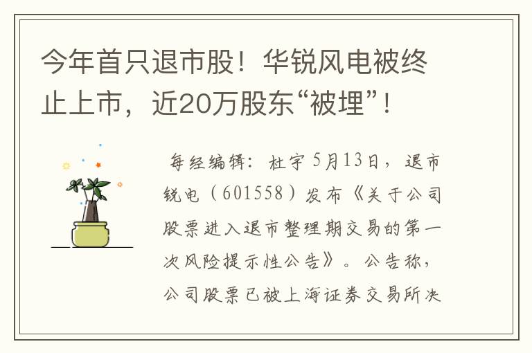 今年首只退市股！华锐风电被终止上市，近20万股东“被埋”！网友评论炸锅了