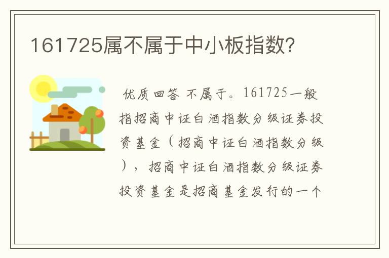 161725属不属于中小板指数？