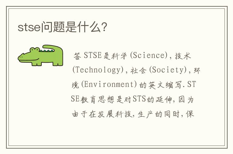 stse问题是什么？