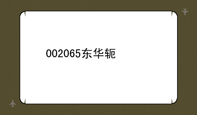 002065东华软件股票