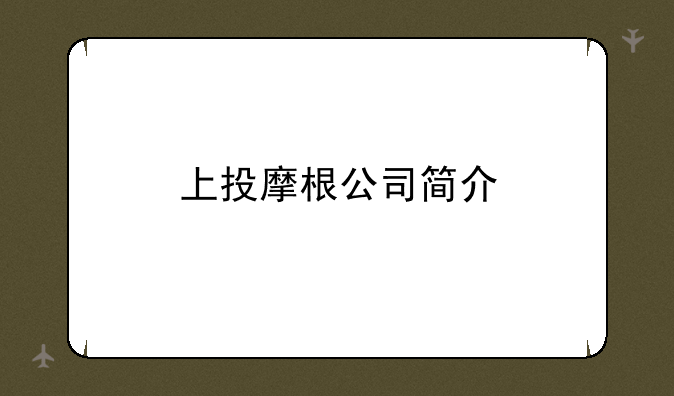 上投摩根公司简介