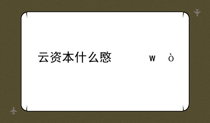 云资本什么意思？