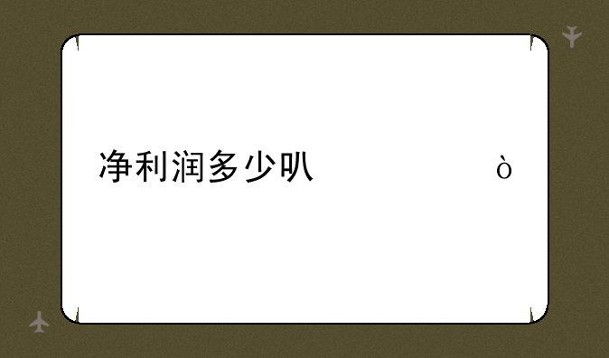 净利润多少可市？