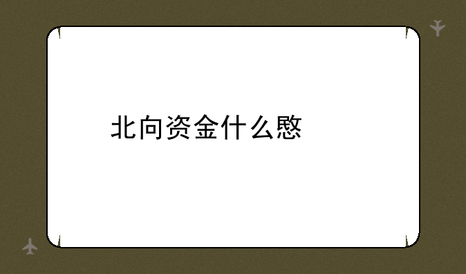 北向资金什么意思