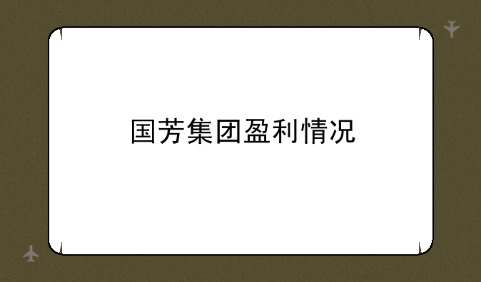 国芳集团盈利情况