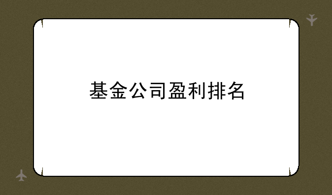 基金公司盈利排名