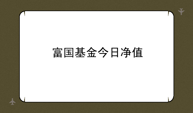 富国基金今日净值