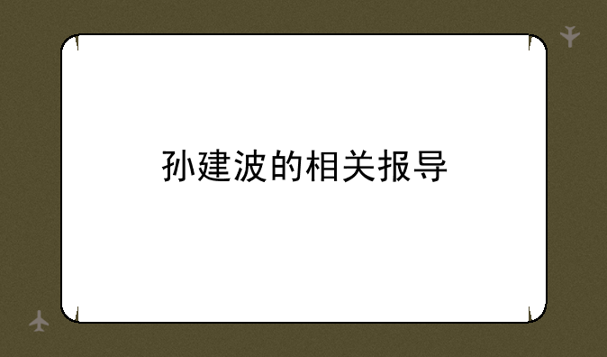 孙建波的相关报导