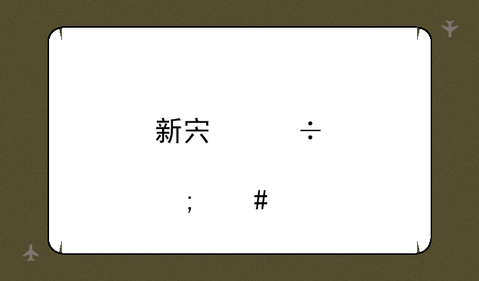 新宏泽股票怎么样