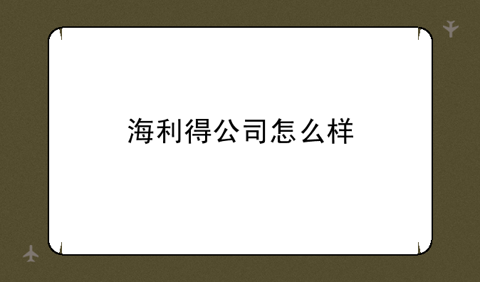 海利得公司怎么样