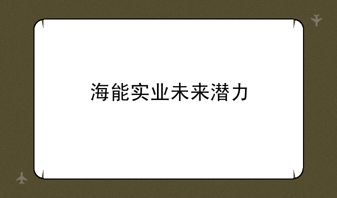 海能实业未来潜力