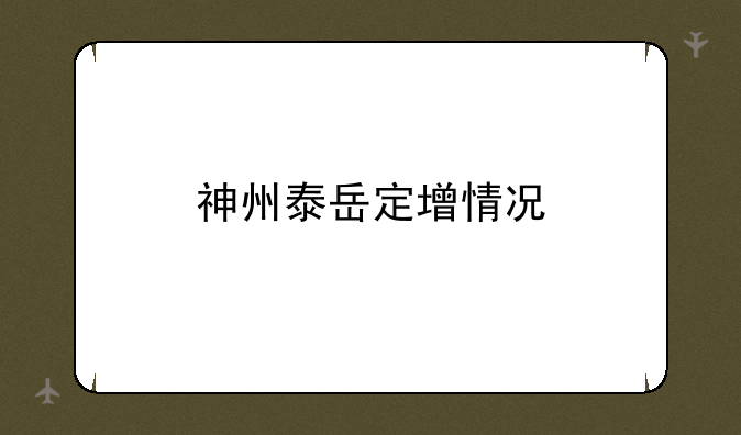 神州泰岳定增情况