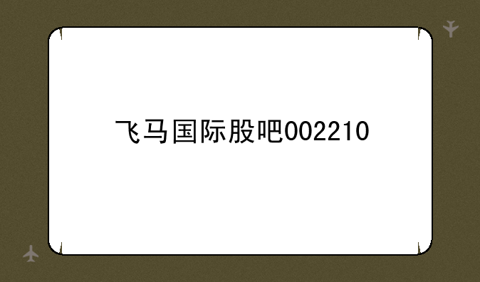 飞马国际股吧002210