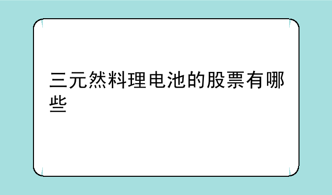 三元然料理电池的股票有哪些