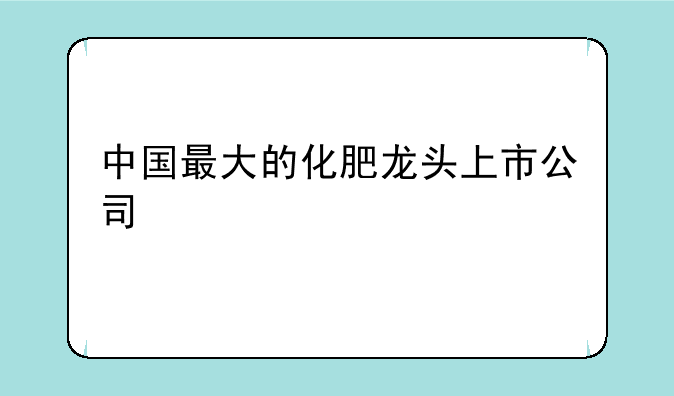 中国最大的化肥龙头上市公司