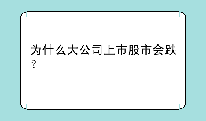 为什么大公司上市股市会跌？