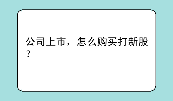 公司上市，怎么购买打新股？