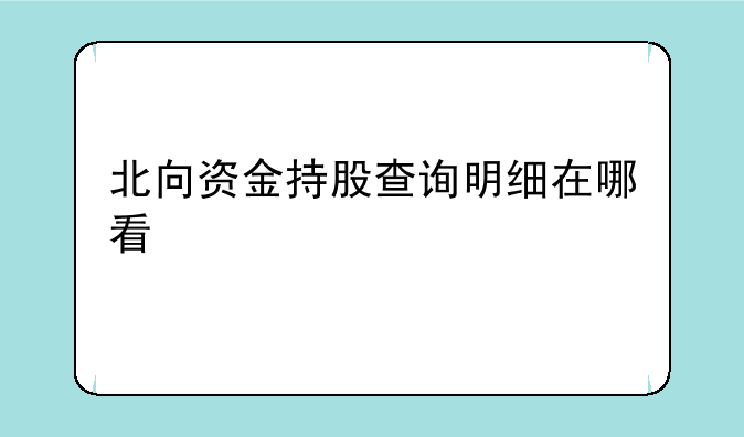 北向资金持股查询明细在哪看