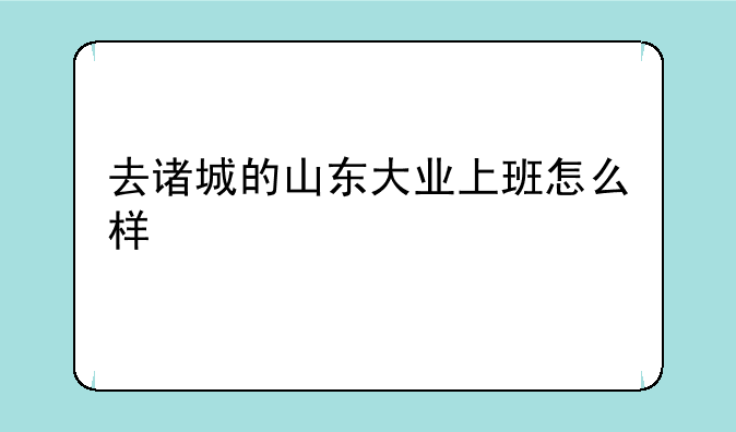 去诸城的山东大业上班怎么样