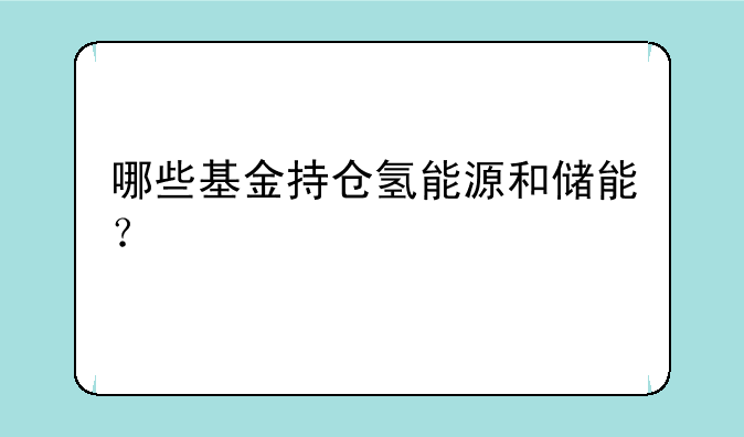 哪些基金持仓氢能源和储能？