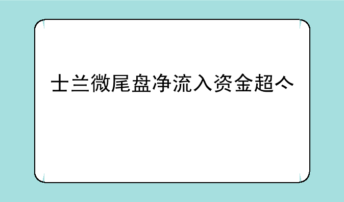 士兰微尾盘净流入资金超亿元