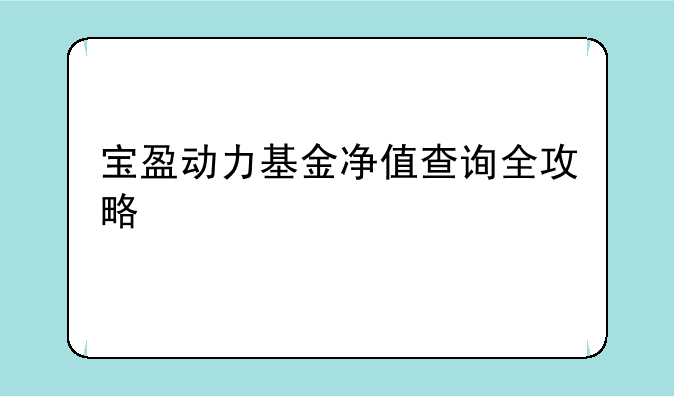 宝盈动力基金净值查询全攻略