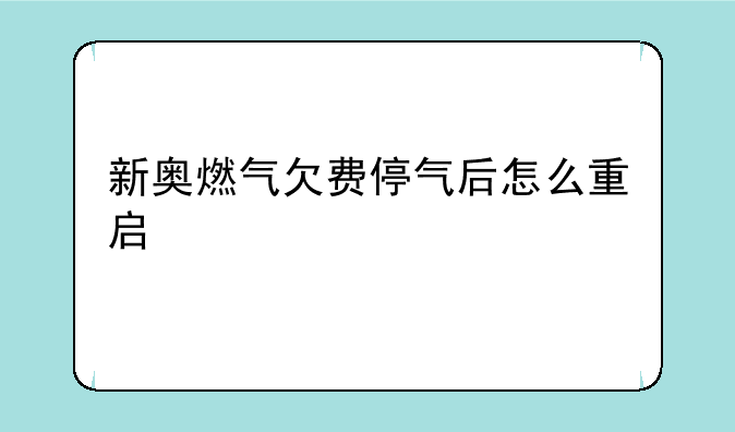 新奥燃气欠费停气后怎么重启