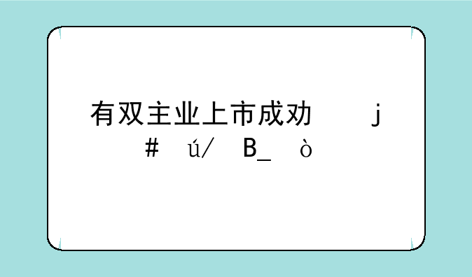 有双主业上市成功的案例吗？