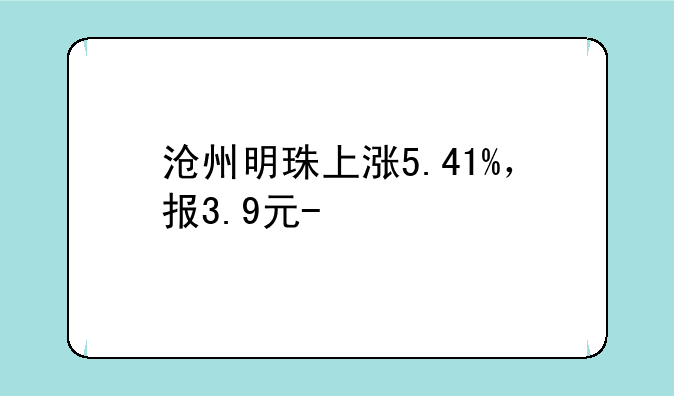 沧州明珠上涨5.41%，报3.9元/股