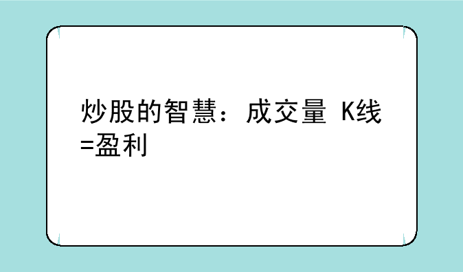 炒股的智慧：成交量+K线=盈利