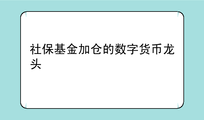 社保基金加仓的数字货币龙头