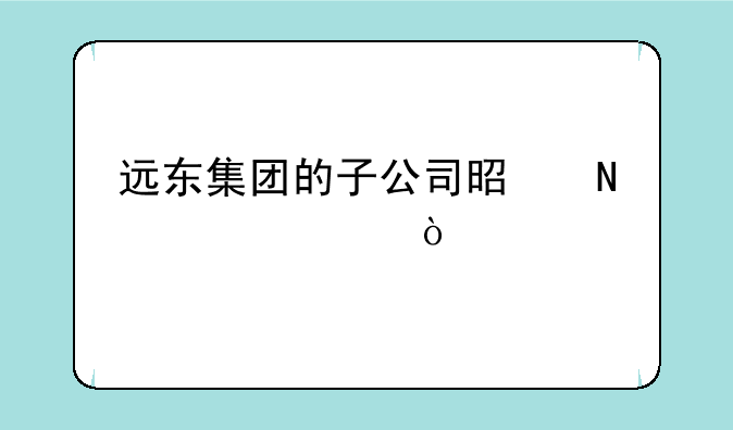 远东集团的子公司是哪几家？