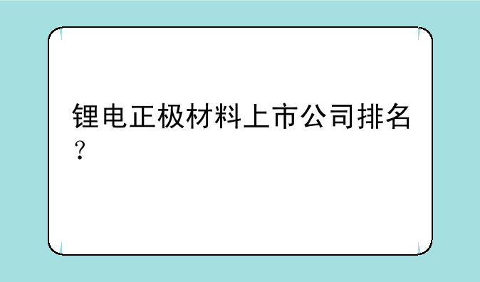 锂电正极材料上市公司排名？