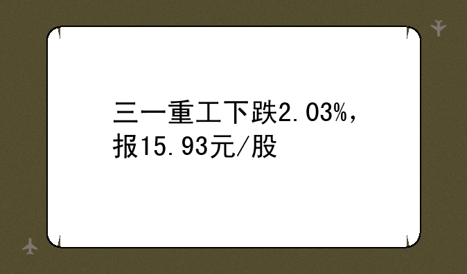 三一重工下跌2.03%，报15.93元/股