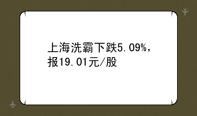 上海洗霸下跌5.09%，报19.01元/股