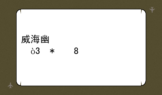 威海广泰上涨5.06%，报10.39元/股