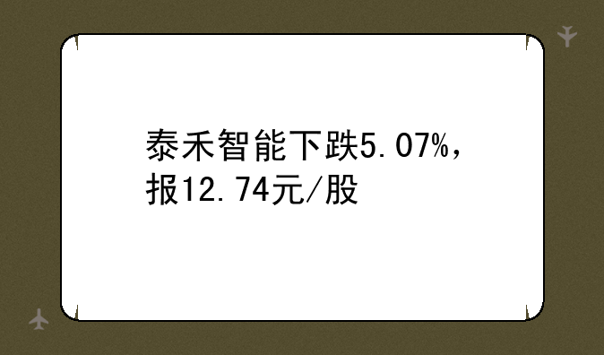 泰禾智能下跌5.07%，报12.74元/股