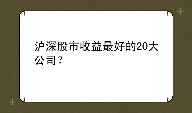 沪深股市收益最好的20大公司？