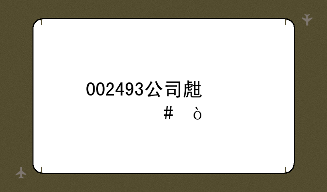 002493公司生产什么？