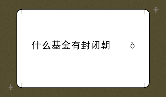 什么基金有封闭期？