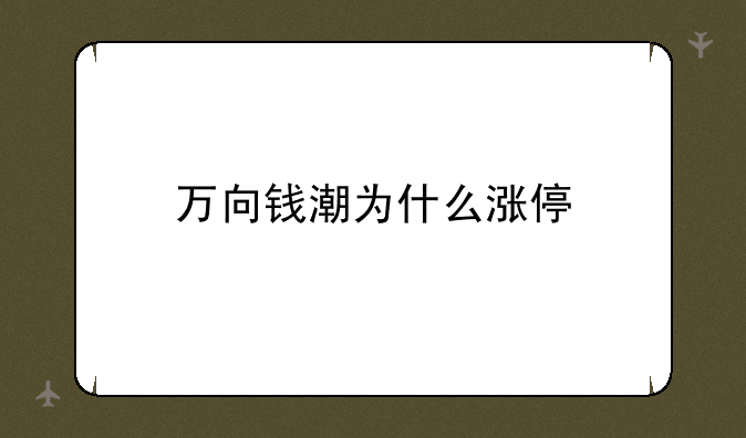 万向钱潮为什么涨停