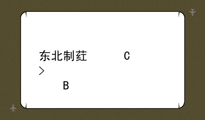 东北制药子公司股吧