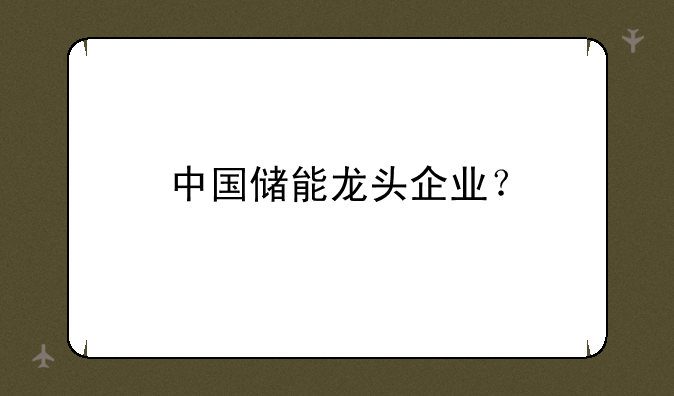 中国储能龙头企业？