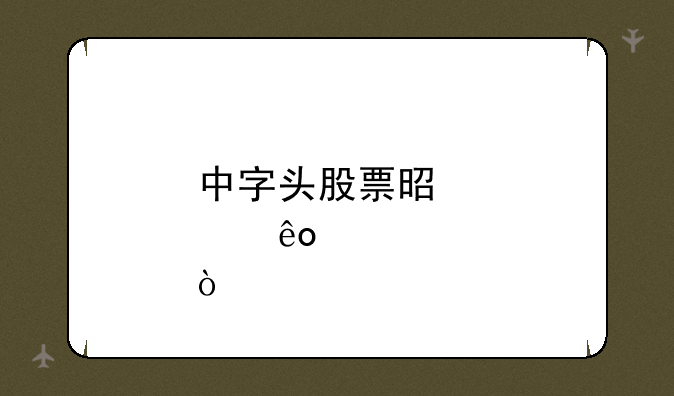 中字头股票是那些？