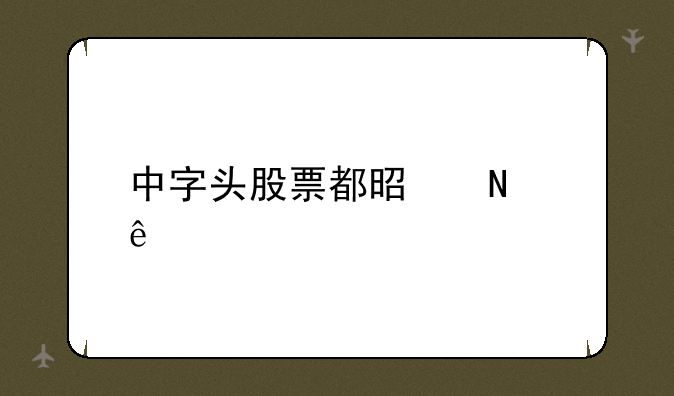 中字头股票都是哪些