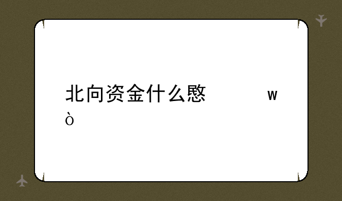 北向资金什么意思？