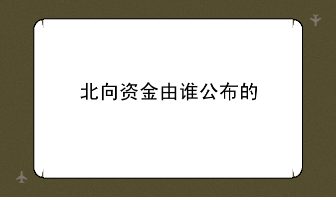 北向资金由谁公布的