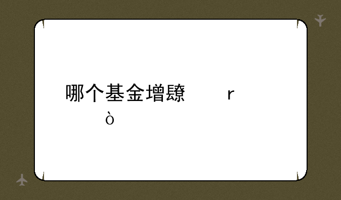 哪个基金增长最快？