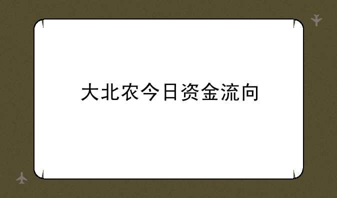 大北农今日资金流向