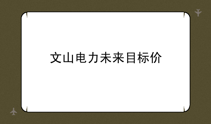 文山电力未来目标价